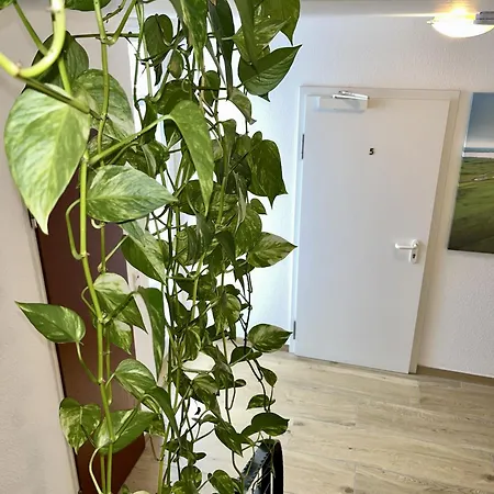 Gaestehaus Forchheim Pensión