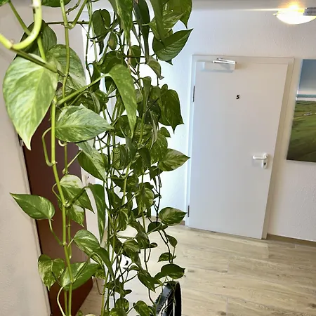 בית הארחה Gaestehaus Forchheim