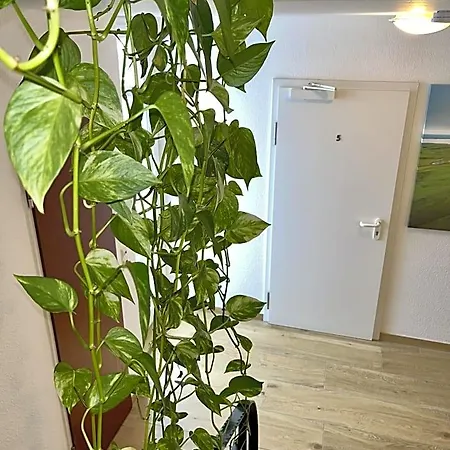 Гостевой дом Gaestehaus Forchheim Райнштеттен